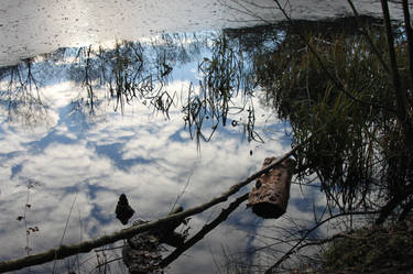 Icy Lake