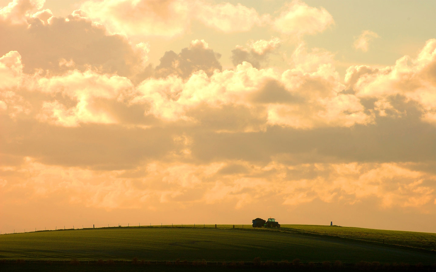 Working-Under-a-Golden-Sky