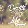 Free Walpaper - Life from Death