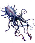 kraken by Nordheimer