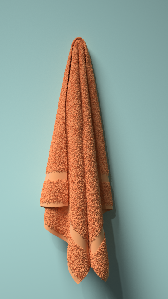 Towel11