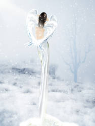 angel of winter