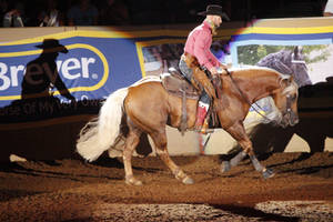 Western 05