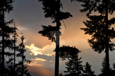 Rainy Sunset Silhouette