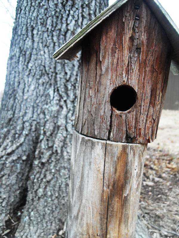 Bird Housing