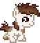 Pipsqueak trotting