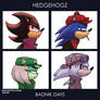 Hedgehogz - Badnik Days