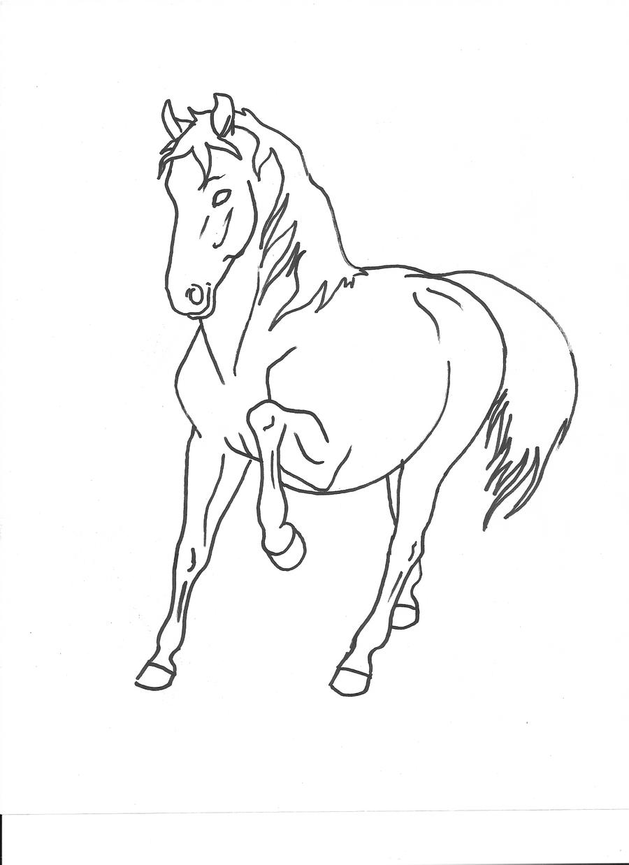 Horse 1