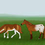 Plains Explorers