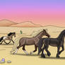 Desert Weekenders 1