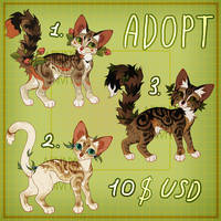 Adoptions CLOSED 10$