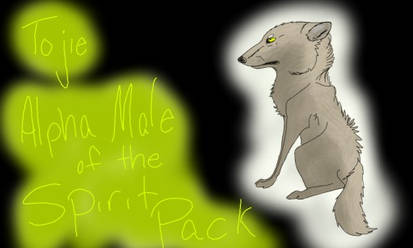 Spirit pack: Tojie