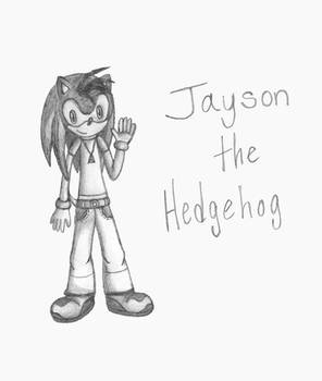 Jayson the Hedgehog Update