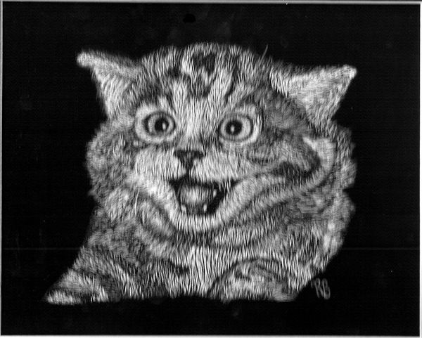 Scratch Art Cat