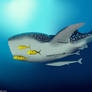 Whale Shark and Fish