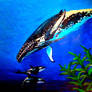 Dangerous Killer Whales