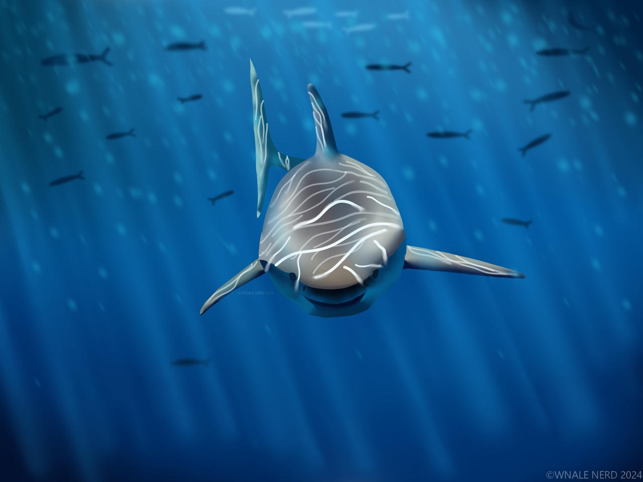 Shark Deviantart Great Shark by WhaleNerd on DeviantArt
