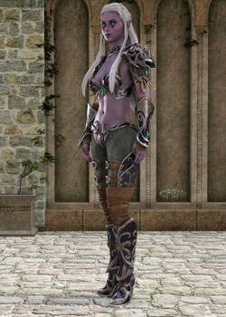 Dark Elf Warrior