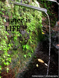 water is LIFE,,,