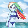 Rainbowdash - Holyday 2