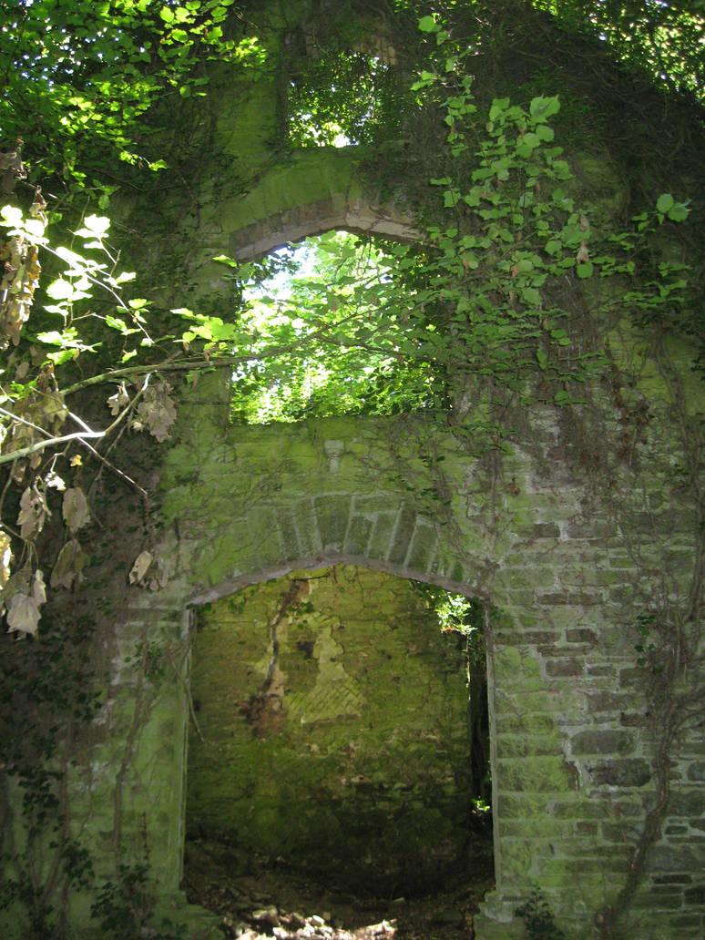 the woods III- arch windows