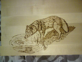 Pyrography wolf