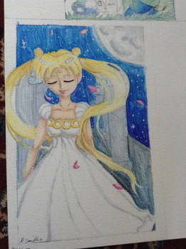 Sailor moon Princess Serenity