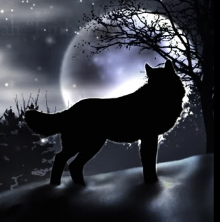 Moonlight Wolf