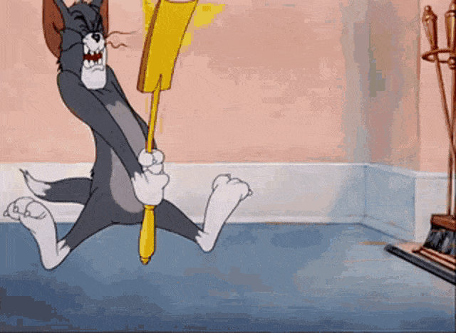 Tom Jerry Rake Gif Tom Jerry Gif by DevartTube on DeviantArt