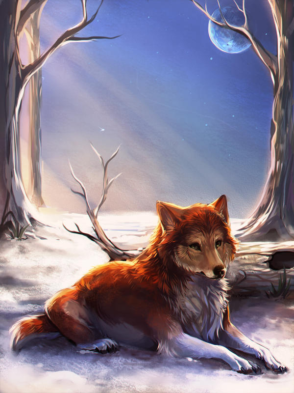 Ginger Wolves Ginger Wolf by Reiquin on DeviantArt