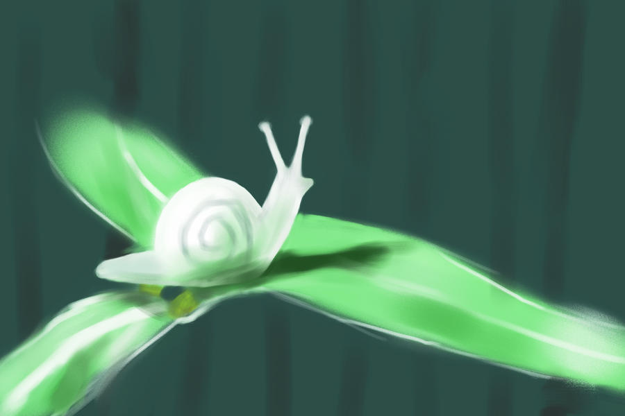 Snail