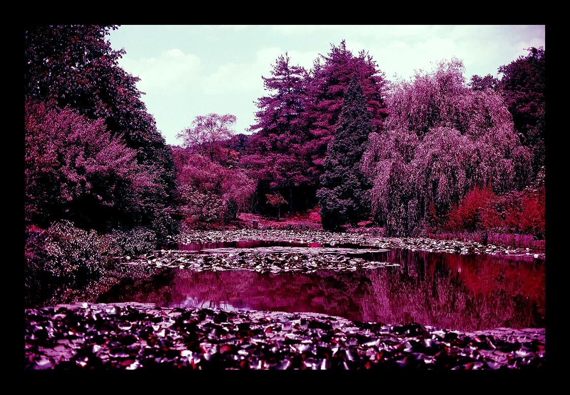 Arboretum III