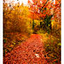 Autumn Road_3