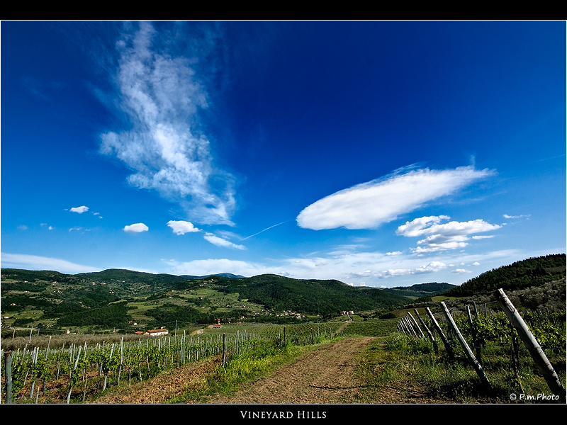 Vineyard Hills