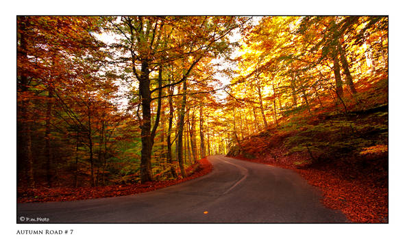 Autumn Road_7