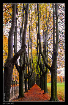 Autumn_13