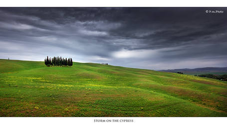 Storm on the Cypress