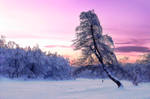 Winter fairy tales by Vint26