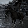 Horses of Skyrim 3