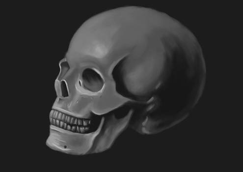 Skull