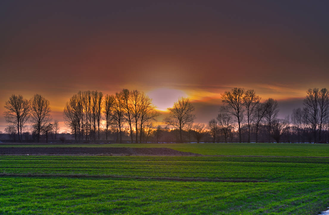 Almost Spring Graphics Almost spring by maor on DeviantArt