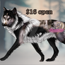 *ADOPT OPEN*: $16