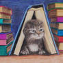 Storybook Kitten