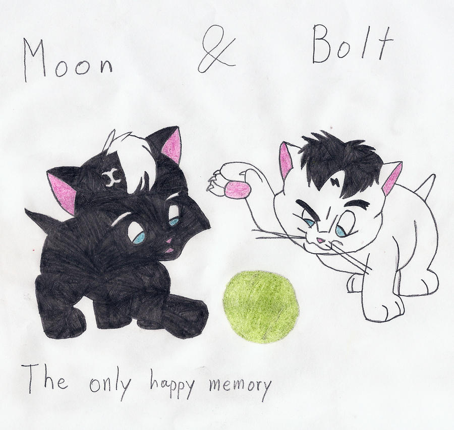 moon and bolt