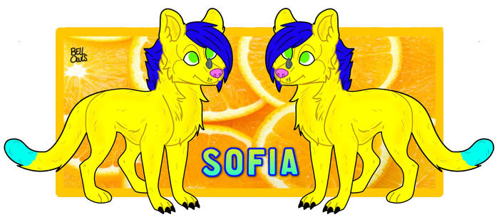 Sofia