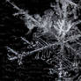 Winter's Crystals