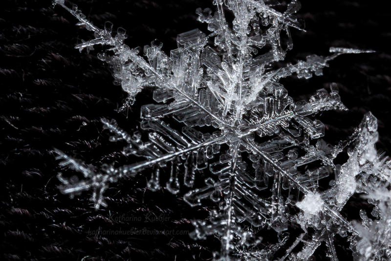 Winter's Crystals
