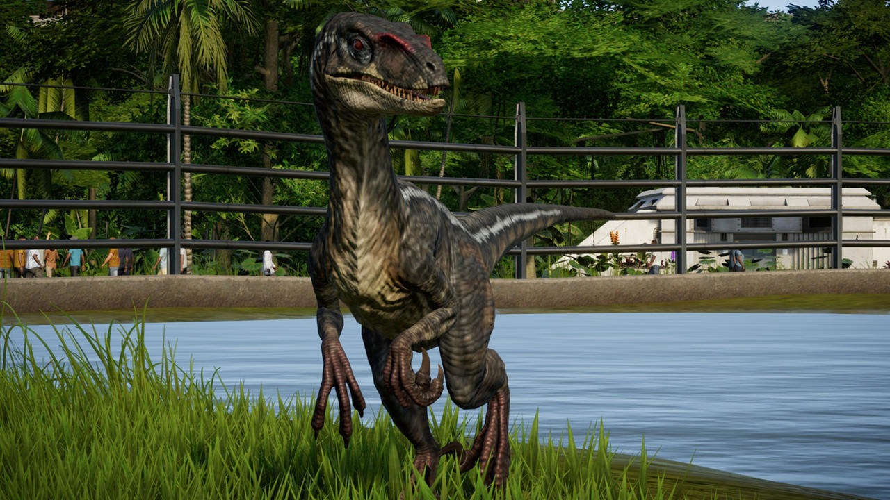 JWE Raptor male 2001 skin by Marmotte5280 on DeviantArt