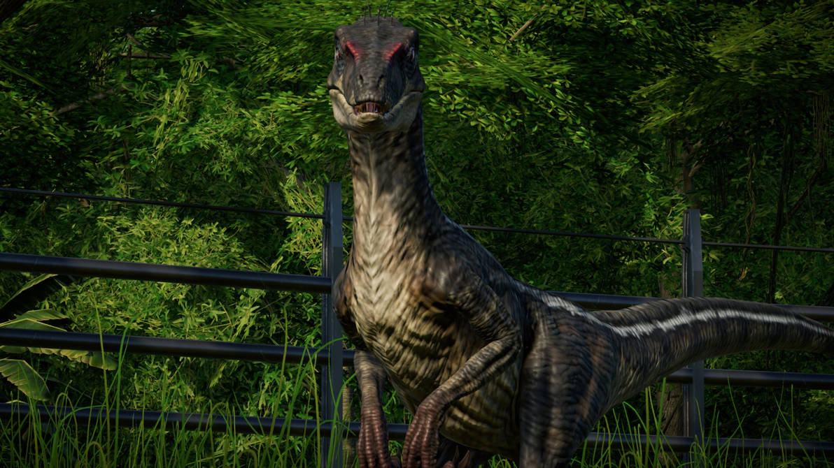 JWE Raptor male 2001 skin by Marmotte5280 on DeviantArt