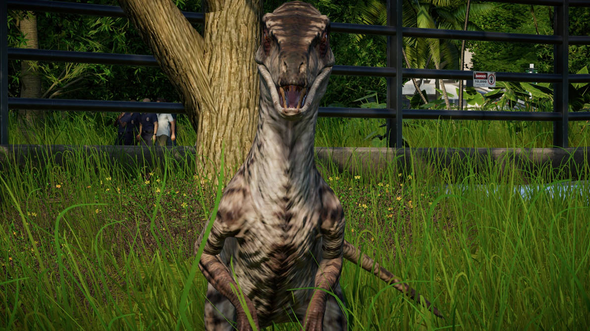 JWE Raptor female 2001 skin by Marmotte5280 on DeviantArt
